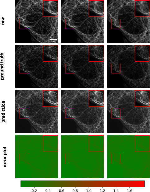 Figure 10: Example results of confocal-to-STED modality transformation of microtubule in three consecutive z-slices. From top to bottom: raw confocal images, reference STED images, predicted images, error plots. For the error plots, the ground truth images were normalized as described in the main text. The contrast of grayscale images was adjusted using ImageJ’s autoscale.