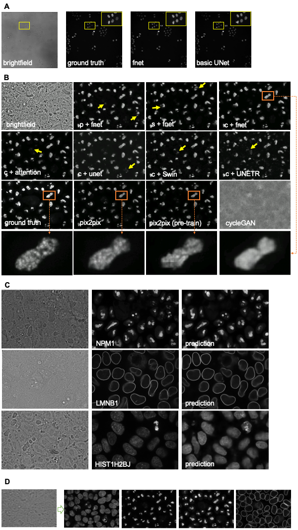 Figure 2: Examples of labelfree results. p/c/s refers percentile normalization, center normalization, and standard normalization, respectively (see main text for details).