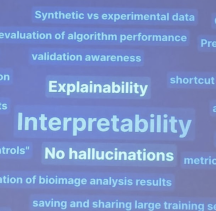 The Emerging Issues in Bioimaging AI Publications and Research Dagstuhl Seminar 24042