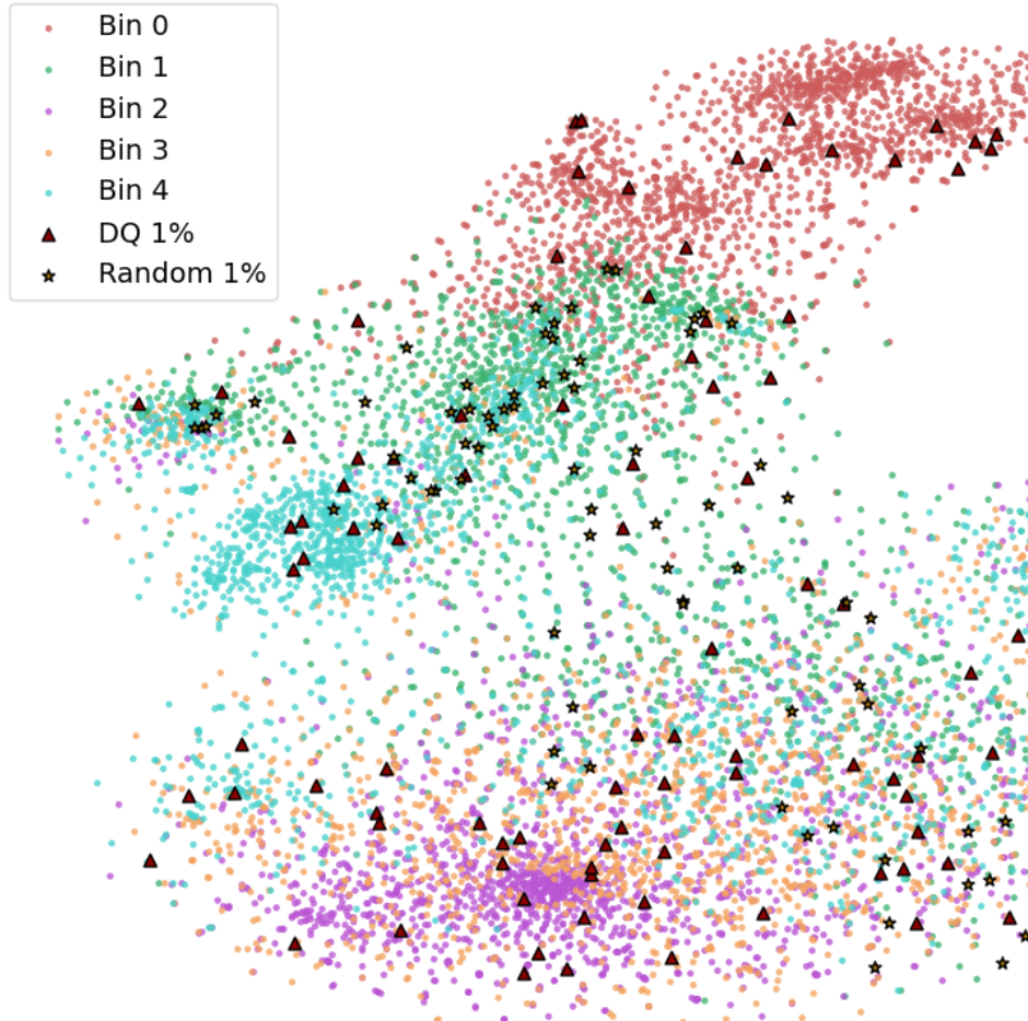 Data Efficiency and Transfer Robustness in Biomedical Image Segmentation: A Study of Redundancy and Forgetting with Cellpose