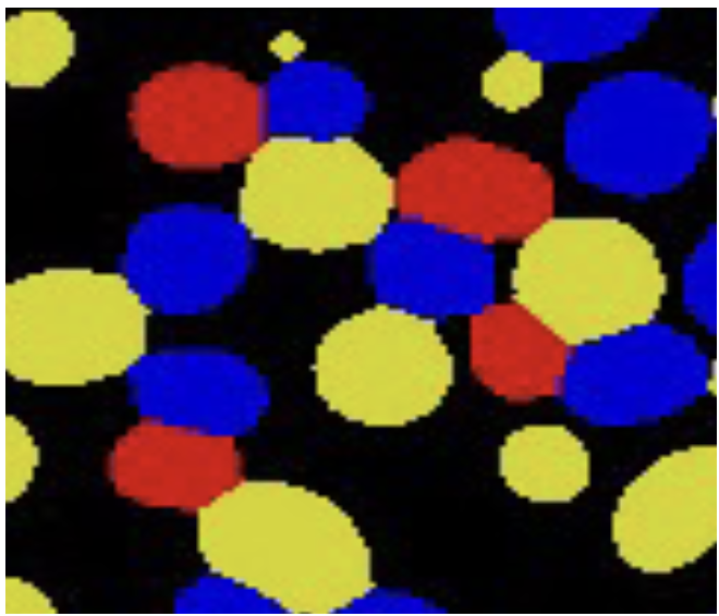 The Four Color Theorem for Cell Instance Segmentation
