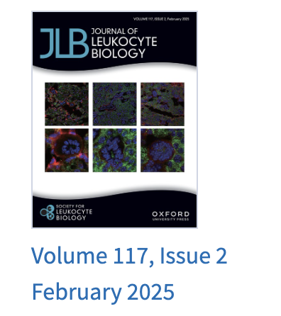 Risk beyond neutropenia: insights into neutrophil migration from newly diagnosed AML until late after allogeneic stem cell transplantation